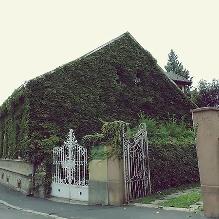 Pensjonat Golden Yacca Vendeghaz